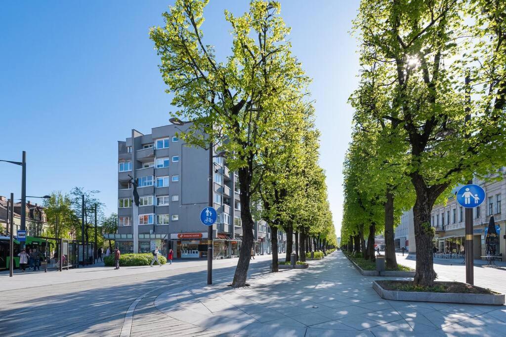 Central 2 Bd Apartment By Hostlovers カウナス エクステリア 写真